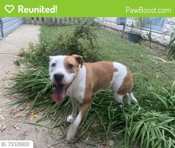 Reunited Female Dog last seen West Kenwood Way, Louisville, KY 40214
