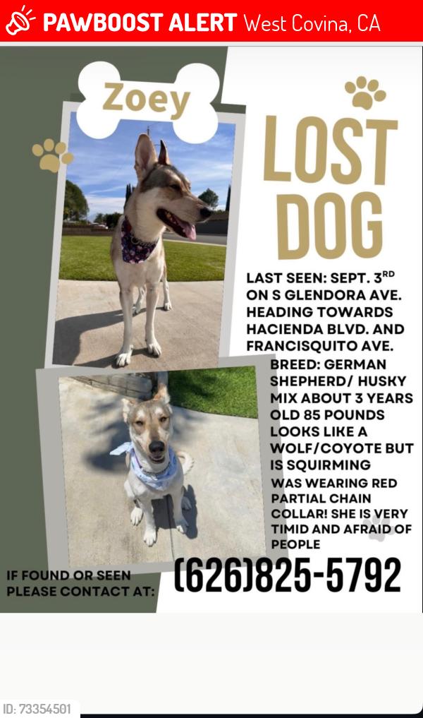 Lost Female Dog last seen Merced Ave/Valinda, West Covina, CA 91790