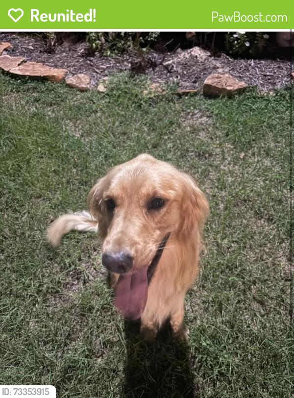 Reunited Male Dog last seen Lori Ln, Porter, TX 77365