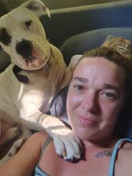 Lost Male Dog last seen The brewery at the Pinnacle, Bristol, TN 37620