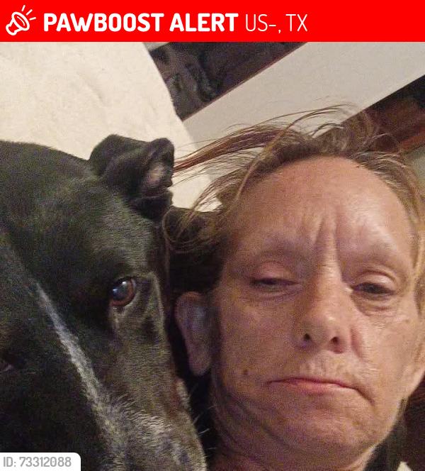 Lost Female Dog last seen Hwy 59 and 1485 lawsuit lane, US-59, TX 77417