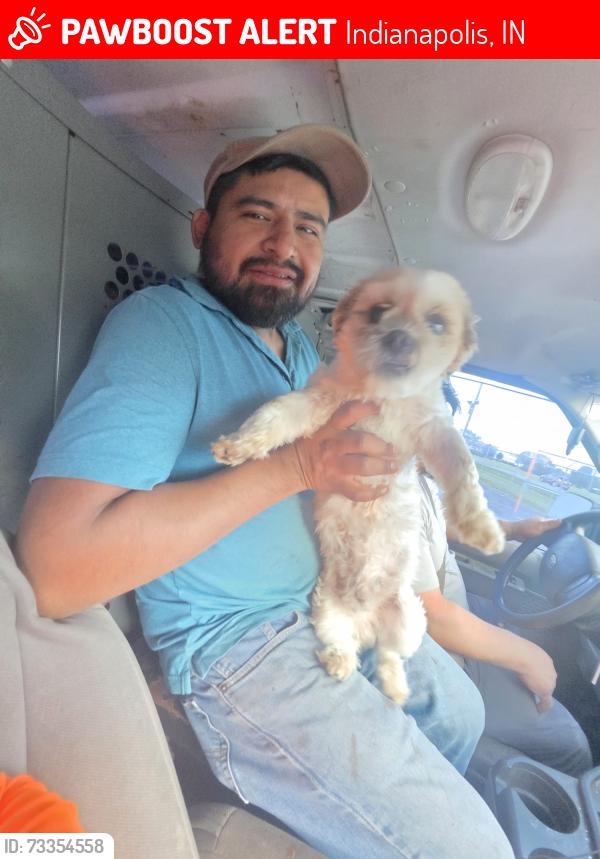 Lost Female Dog last seen Near w 51 st dr s indianapolis in 46254, Indianapolis, IN 46254
