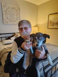 Lost Female Dog last seen Groves at 5 points 2085 s milledge ave, Athens, GA 30605