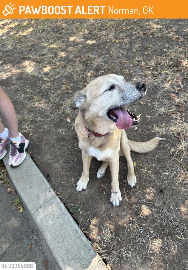Found/Stray Male Dog last seen Iowa and Utah, Norman, OK 73069