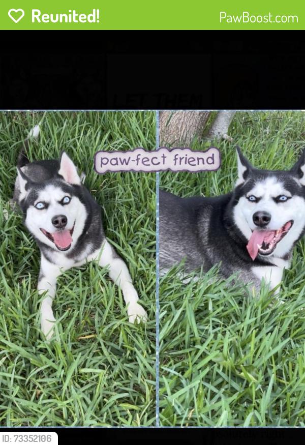 Reunited Male Dog last seen Near Allen Genoa Rd, Pasadena, TX 77502, USA, Houston, TX 77017