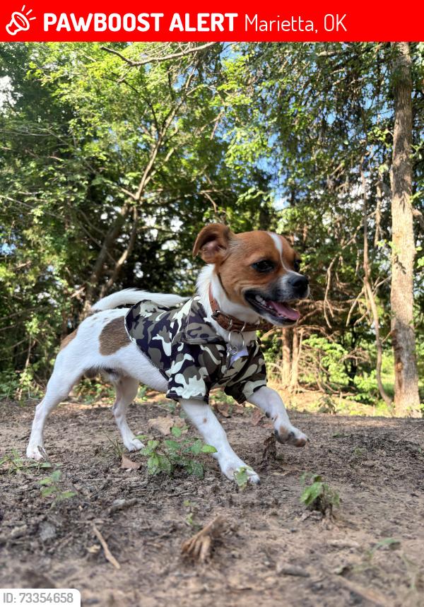 Lost Male Dog last seen Grice rd /77, Marietta, OK 73448