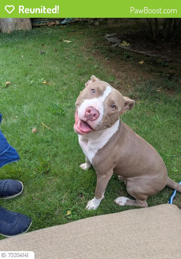 Reunited Male Dog last seen Christmas Ln and Lavista Rd, Atlanta, GA 30329