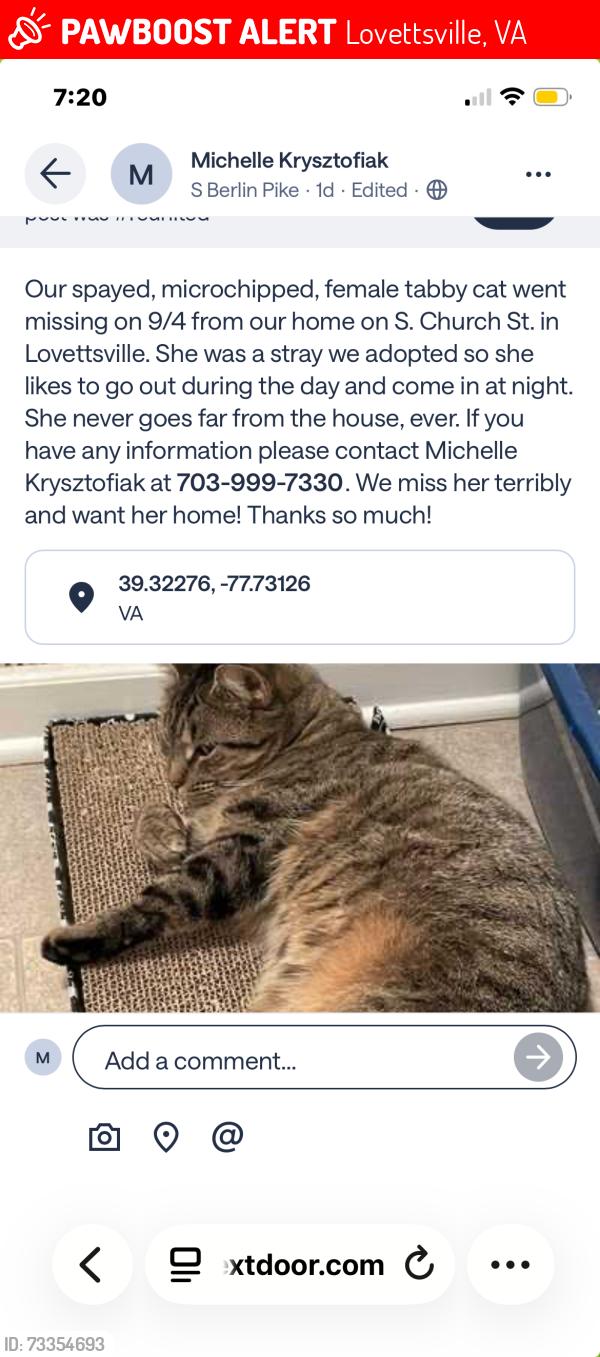 Lost Female Cat last seen S.Church Street, Lovettsville, VA 20180