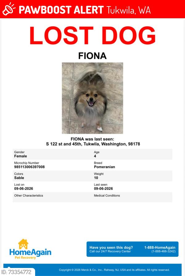 Lost Female Dog last seen S 122 st. 45th, Tukwila, WA 98178