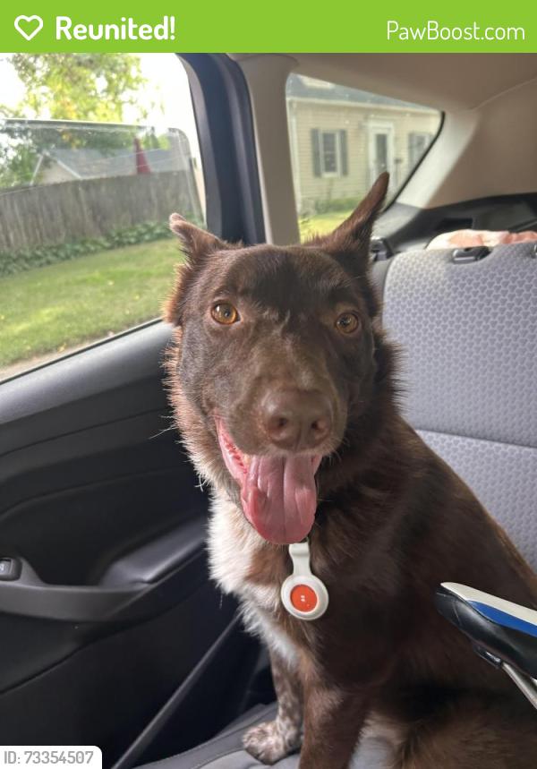 Reunited Unknown Dog last seen By El Cuban restaurant, West Saint Paul, MN 55118