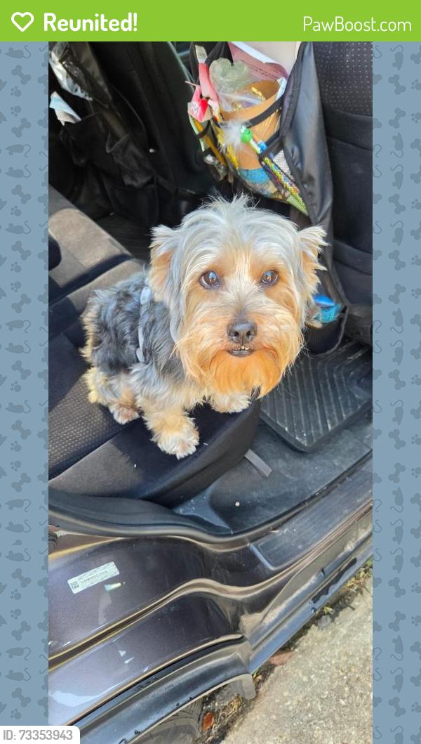 Reunited Unknown Dog last seen Carraway, across from Goodwood Museum, Tallahassee, FL 32308