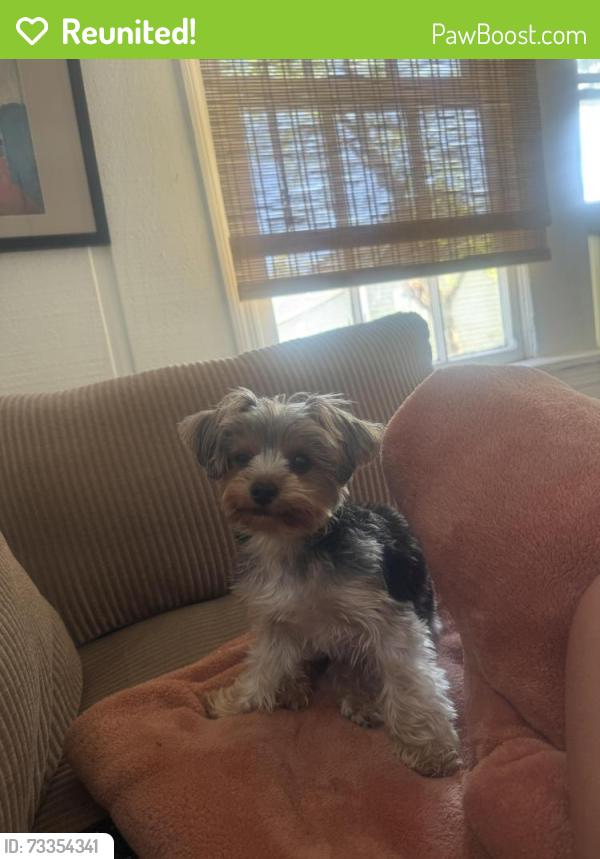 Reunited Female Dog last seen Near Onondaga Circle, Langston, AL 35755