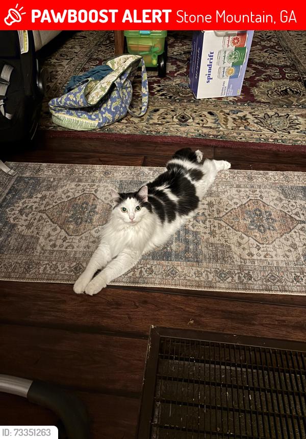 Lost Female Cat last seen Stoneleigh dr and Hugh Howell rd, Stone Mountain, GA 30087