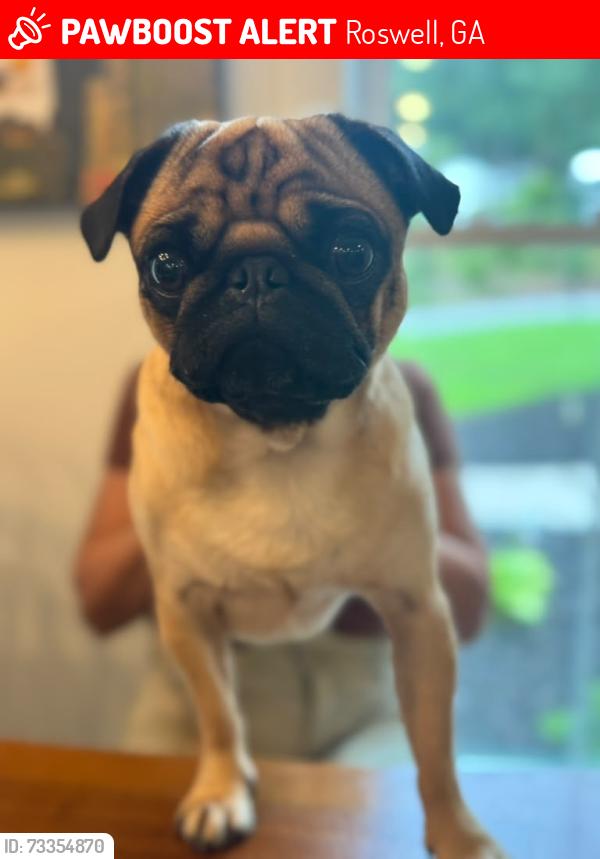 Lost Male Dog last seen Northpoint Neighborhood, Roswell, GA 30075