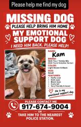 Lost Male Dog last seen Ave j,, Brooklyn, NY 11210
