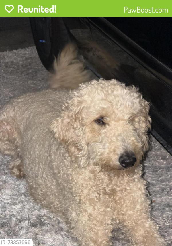 Reunited Female Dog last seen Star crest dr, Salt Lake City UT, Salt Lake City, UT 84116