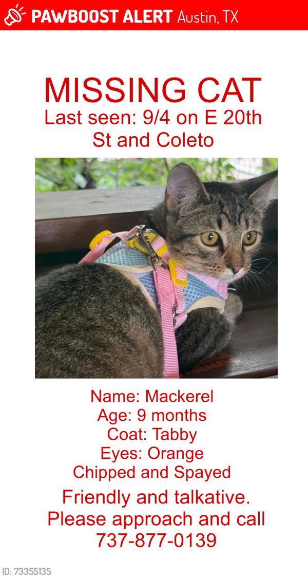 Lost Female Cat last seen E 20th St and Coleto, Austin, TX 78722