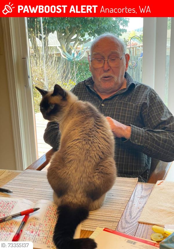 Lost Female Cat last seen Skyline area; Kingsway between Sterling and Heather, Anacortes, WA 98221