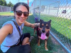 Shelter Stray Female Dog last seen Near BLOCK 1ST STREET, 3528 Newburg Rd, Louisville, KY 40218, USA