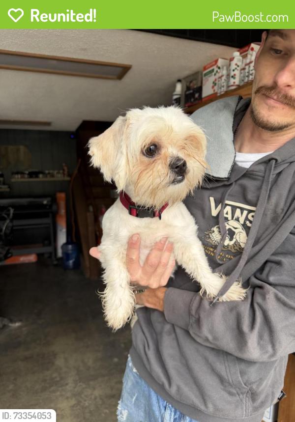 Reunited Male Dog last seen Found at Appalachian Detail, Hendersonville, NC 28791