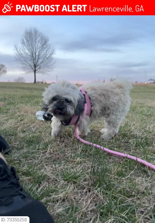 Lost Female Dog last seen Near W Pike St Lawrenceville, GA 30046 United States, Lawrenceville, GA 30046