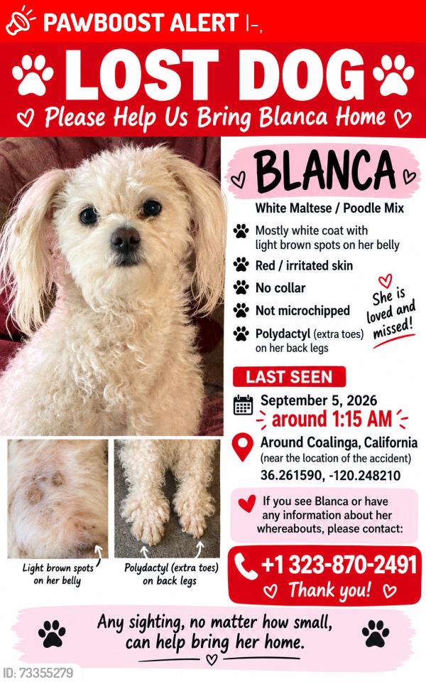 Lost Female Dog last seen Coalinga I-5, I-5,  96003