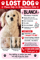 Lost Female Dog last seen Coalinga I-5, I-5,  96003