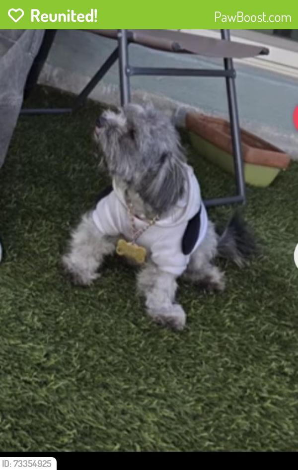 Reunited Male Dog last seen Near Camp St, Denver/Thonton, Denver, CO 80221
