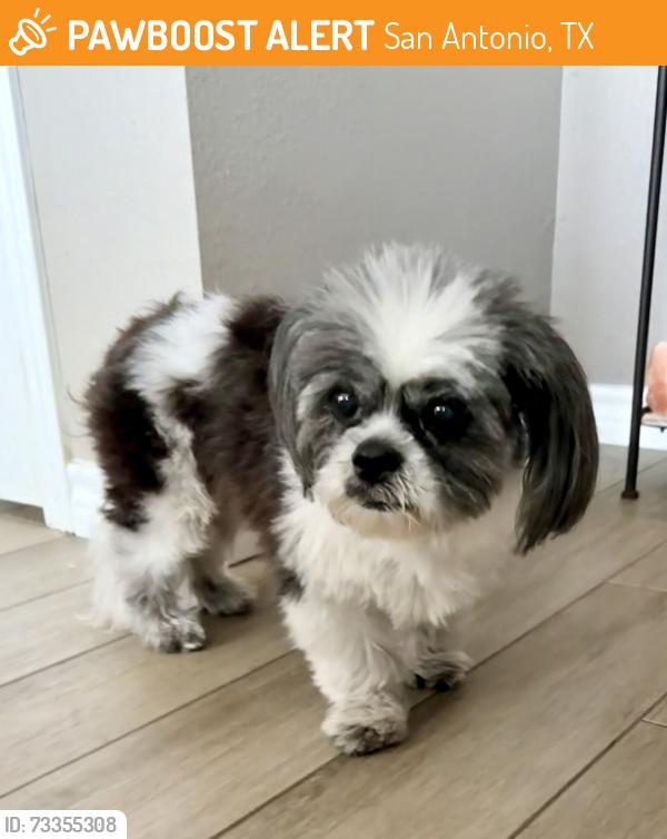 Found/Stray Female Dog last seen Encino Lookout, San Antonio, TX 78259