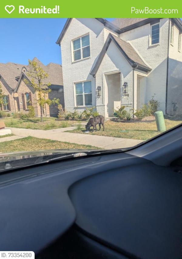 Reunited Unknown Dog last seen Loggerhead Wy, Fort Worth, TX 76118, USA, Fort Worth, TX 76118