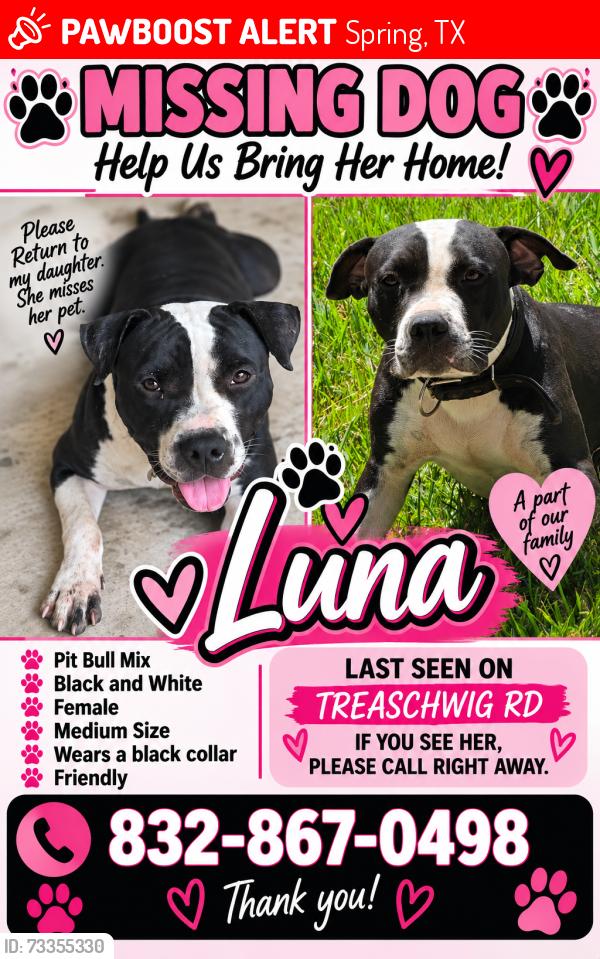 Lost Female Dog last seen Near treaschwig rd, Spring, TX 77373