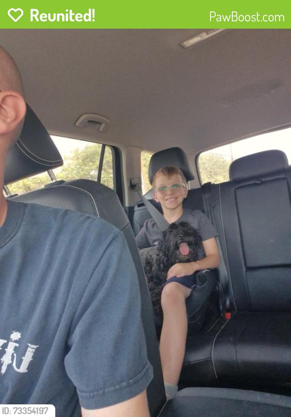 Reunited Male Dog last seen Quaker and the S Loop, Lubbock, TX 79413