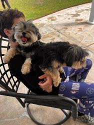 Reunited Unknown Dog last seen Colette, Corona, CA 92879