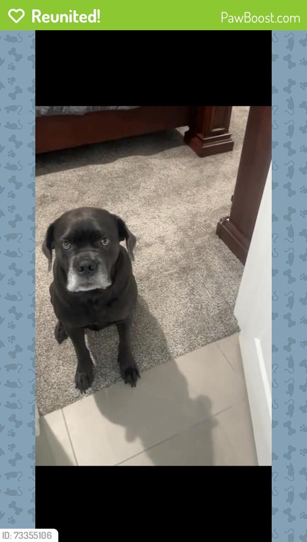 Reunited Female Dog last seen Woodfield Cir, Sugarmill Woods, FL 34446, USA, Sugarmill Woods, FL 34446