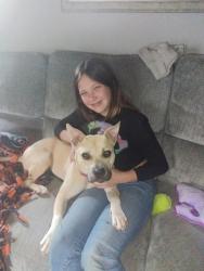 Lost Female Dog last seen Near & DugWay Bridge Rd., South Kingstown, RI 02892