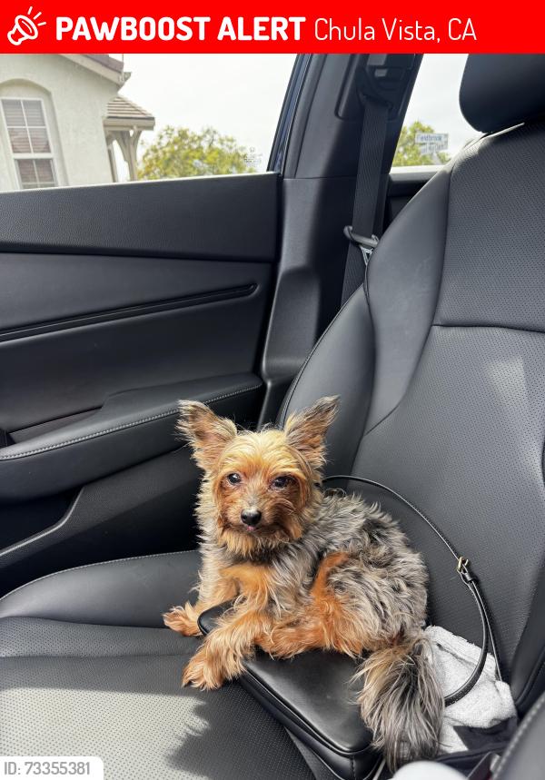 Deceased Male Dog last seen Near fieldbrook st, Chula Vista, CA 91913