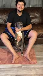 Lost Male Dog last seen Alley of 1202 E 42nd Street, Odessa, TX 79762