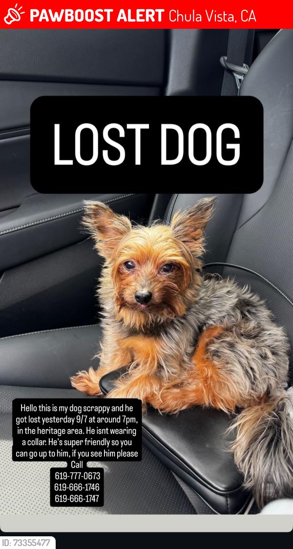 Deceased Male Dog last seen Fieldbrook st, Chula Vista, CA 91913