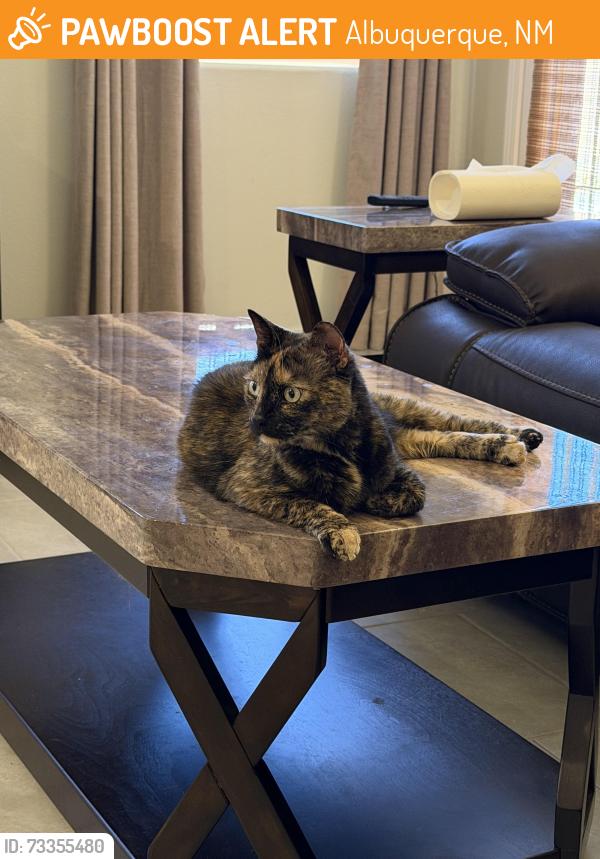 Found/Stray Unknown Cat last seen Manzano vista and Hubbard, Albuquerque, NM 87123