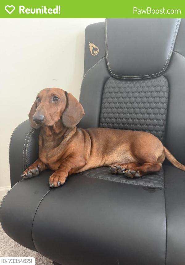 Reunited Male Dog last seen Last seen at this address, Green Hill, TN 37138