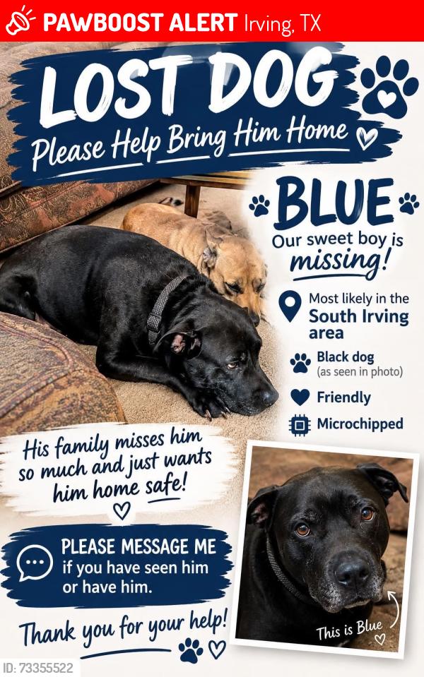 Lost Male Dog last seen Rock Island & Story Road, Irving, TX 75061