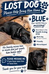 Lost Male Dog last seen Rock Island & Story Road, Irving, TX 75061