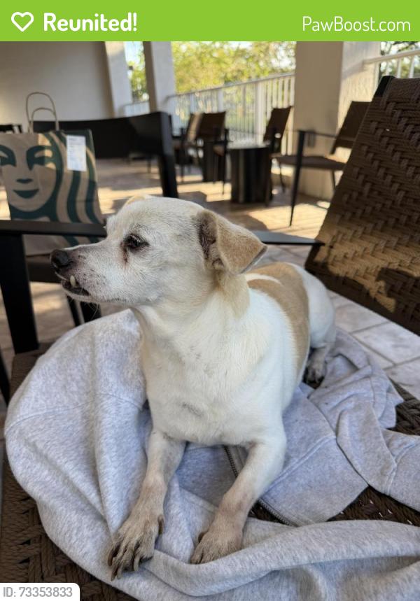 Reunited Male Dog last seen 61st street N, West Palm Beach, FL 33412