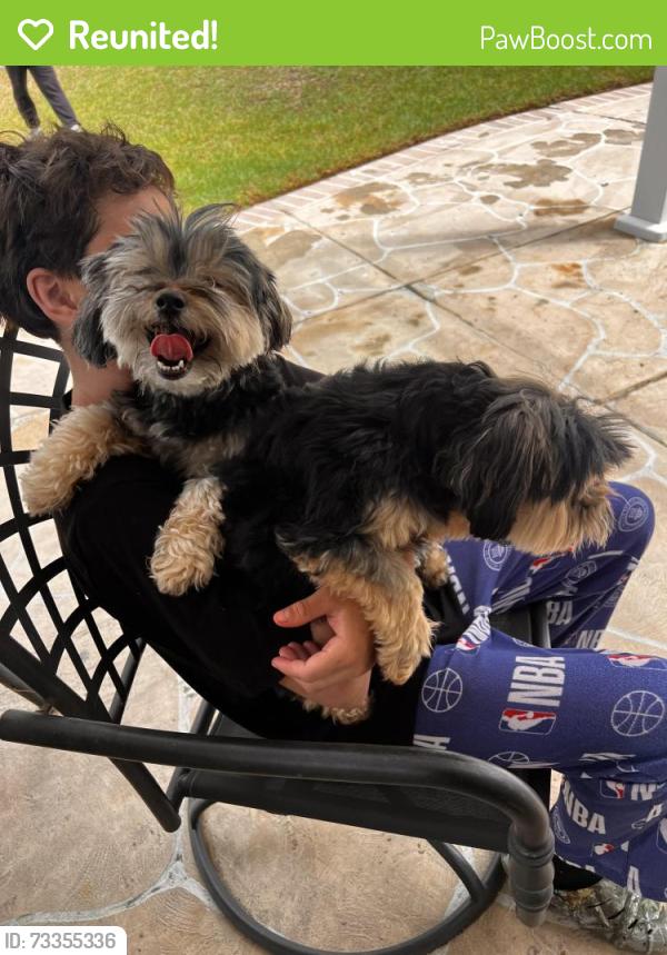 Reunited Unknown Dog last seen Colette, Corona, CA 92879