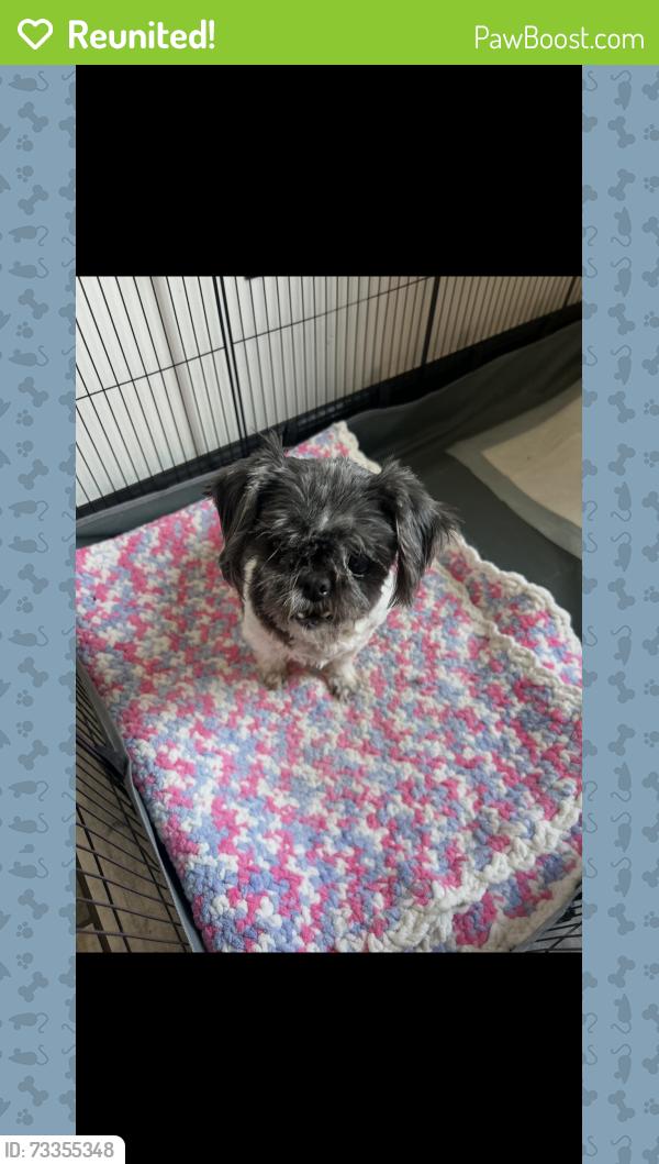Reunited Female Dog last seen Near s Nordica ave, Chicago, IL 60638