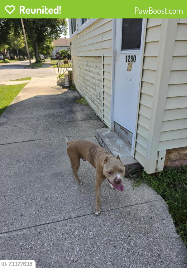 Reunited Male Dog last seen Rosavelt / Porlier, Green Bay, WI 54301