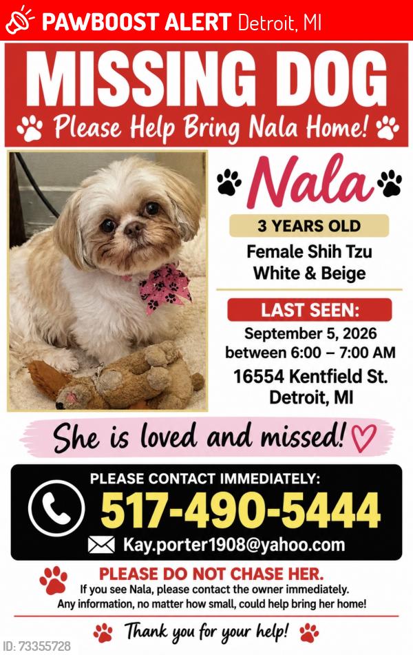 Lost Female Dog last seen Grand River by Hollywood Coney Island, Detroit, MI 48219