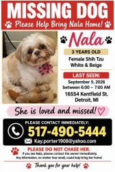Lost Female Dog last seen Grand River by Hollywood Coney Island, Detroit, MI 48219