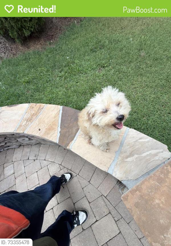 Reunited Male Dog last seen Parkview ct, Archdale, NC 27263