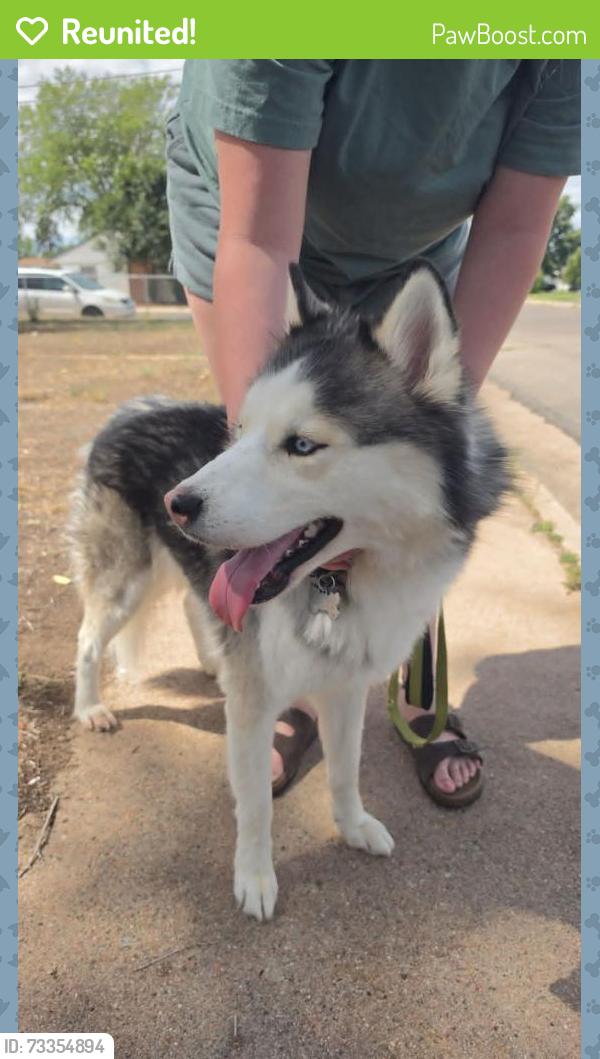 Reunited Male Dog last seen W 7th St and 23rd St, Greeley, CO 80634